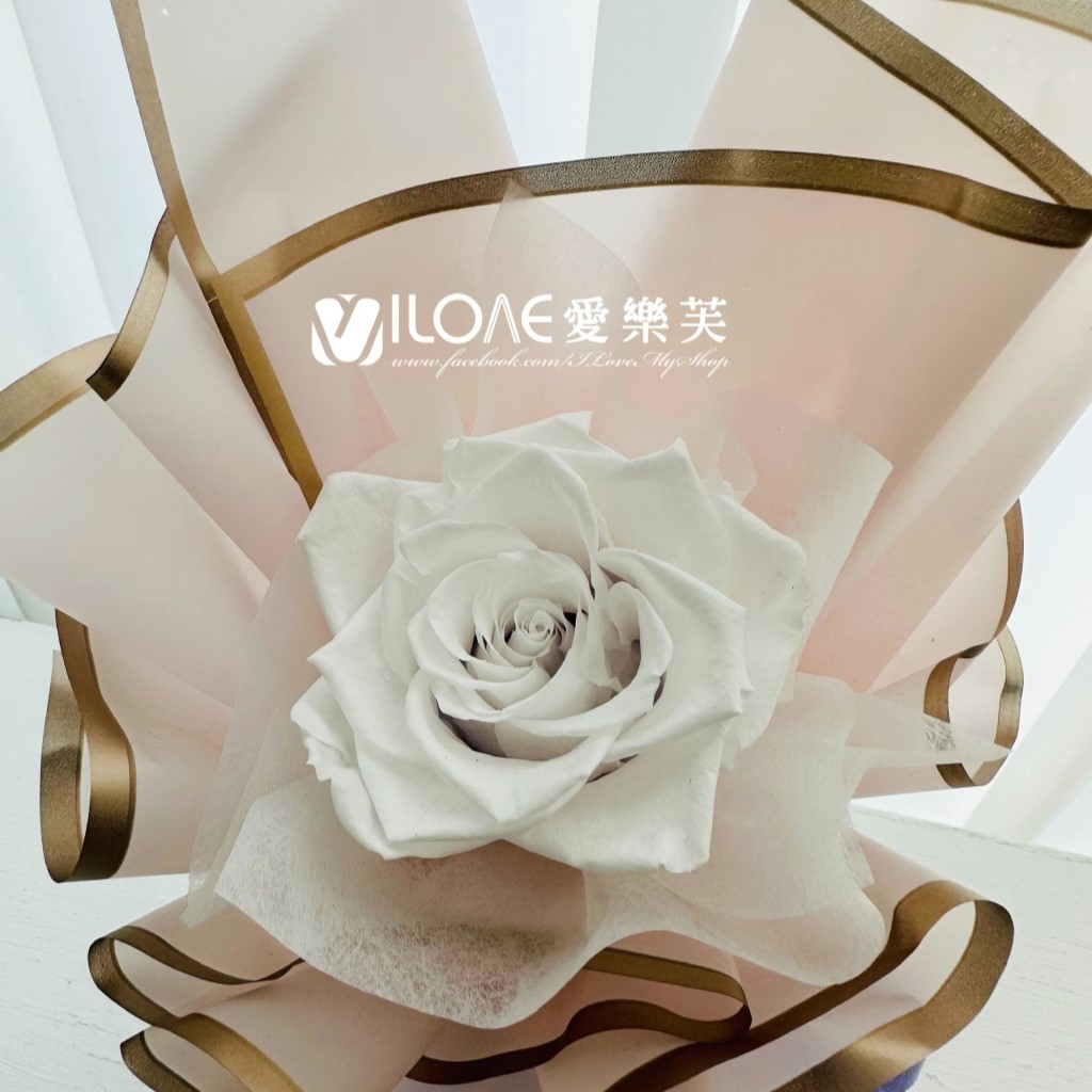 皎潔如月:圖片 3