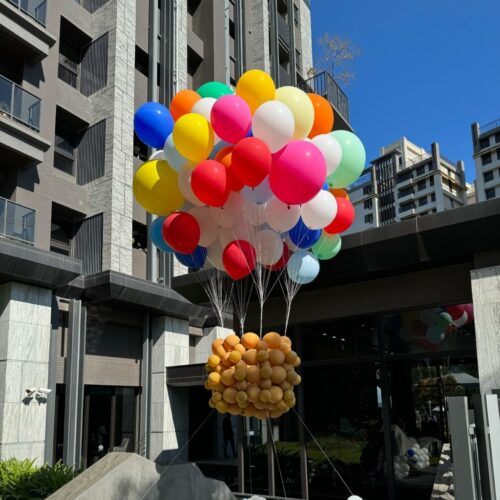 product_49556370_o_12 空飄熱氣球