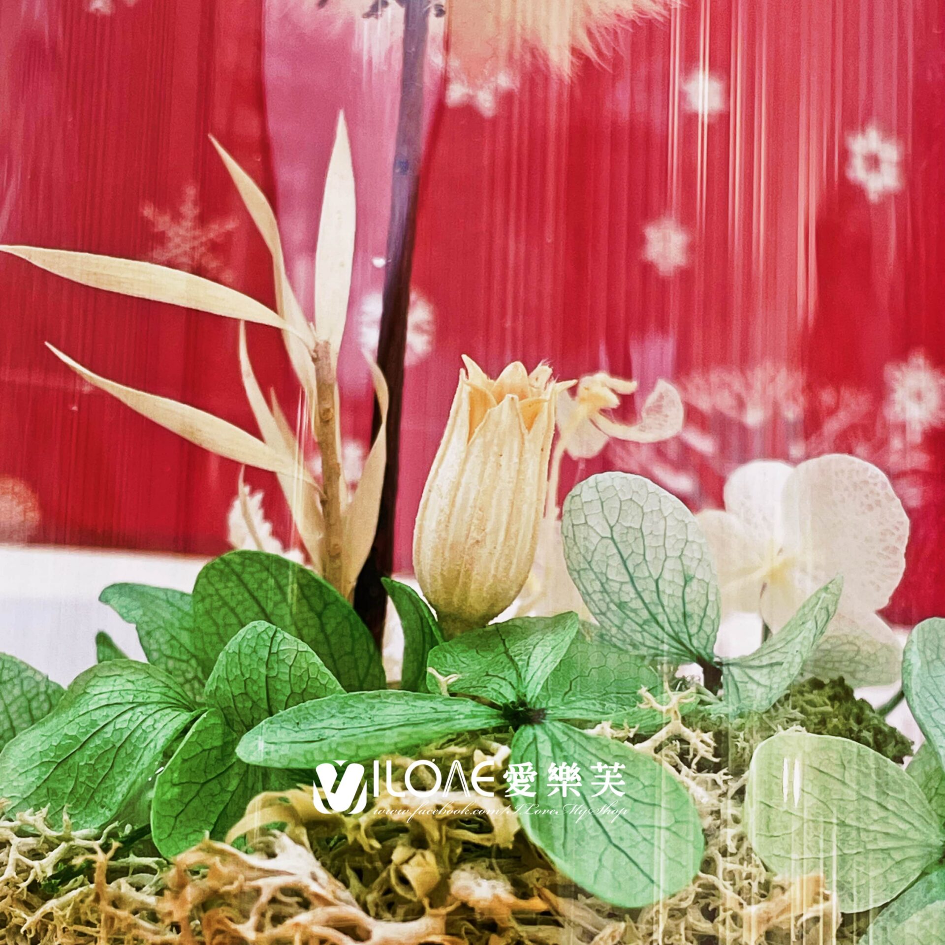 玻璃花盅<br><span style="font-size: 20px;">(雪國心願玻璃盅)</span>:圖片 4
