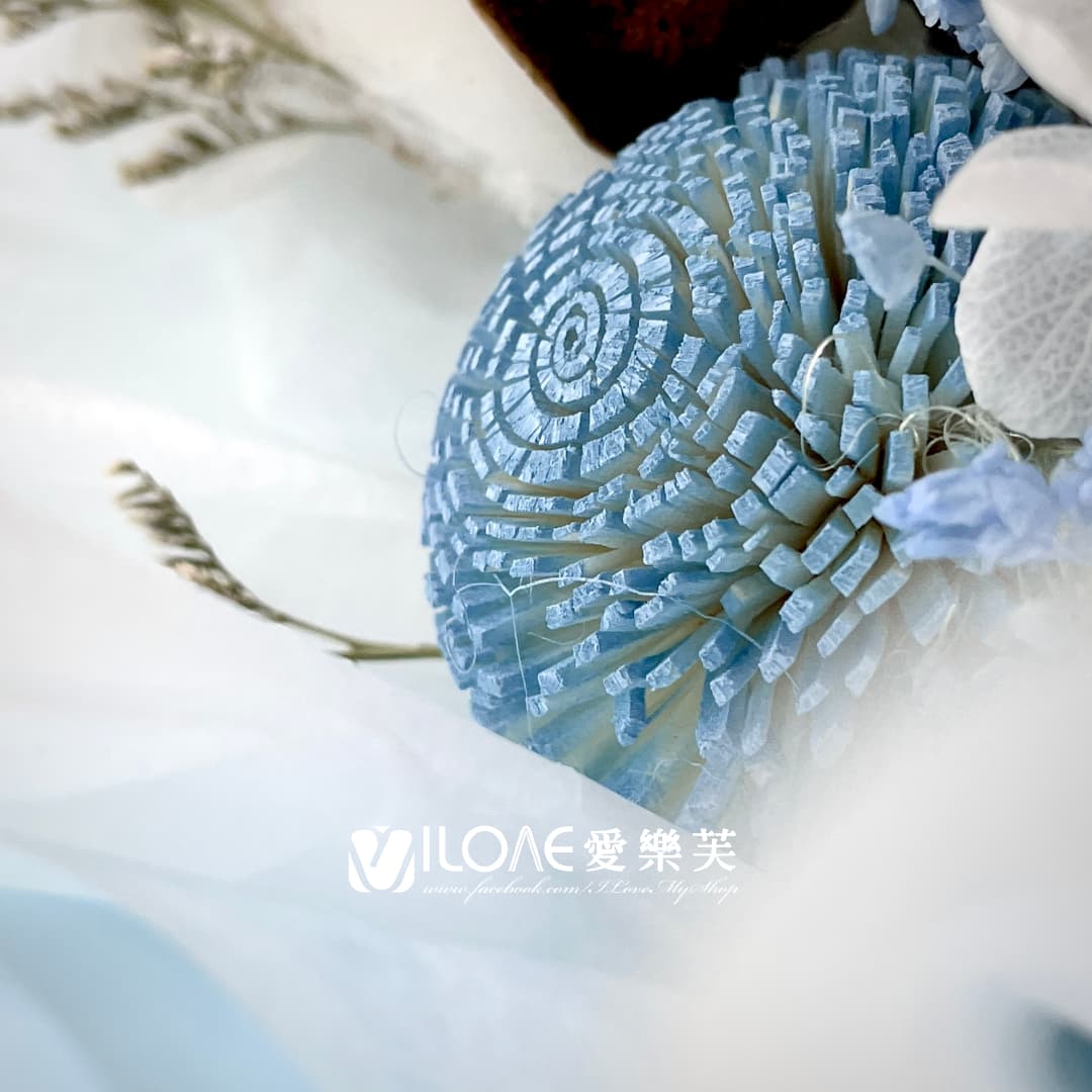 藍海之戀:圖片 6