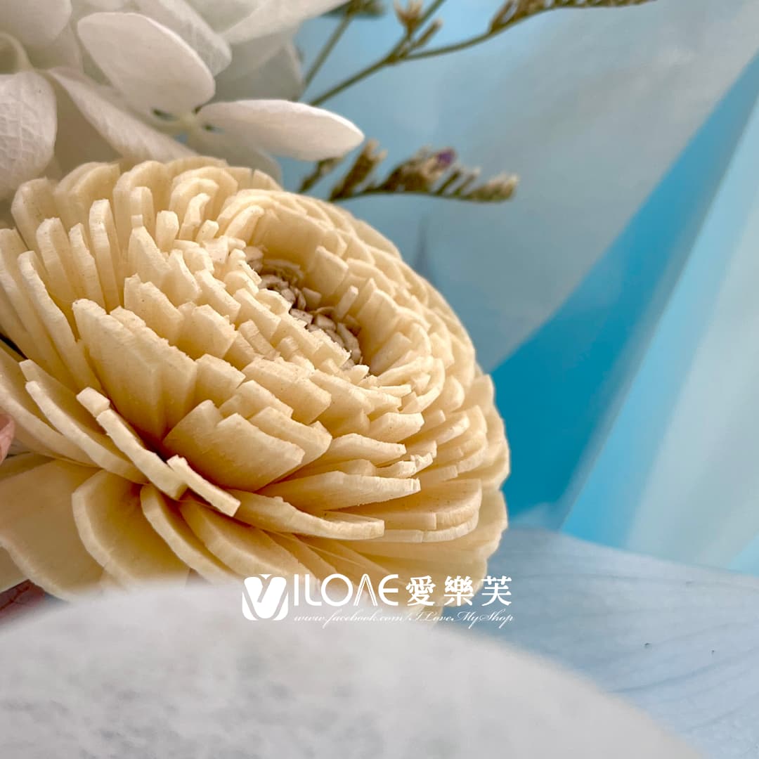 藍海之戀:圖片 4