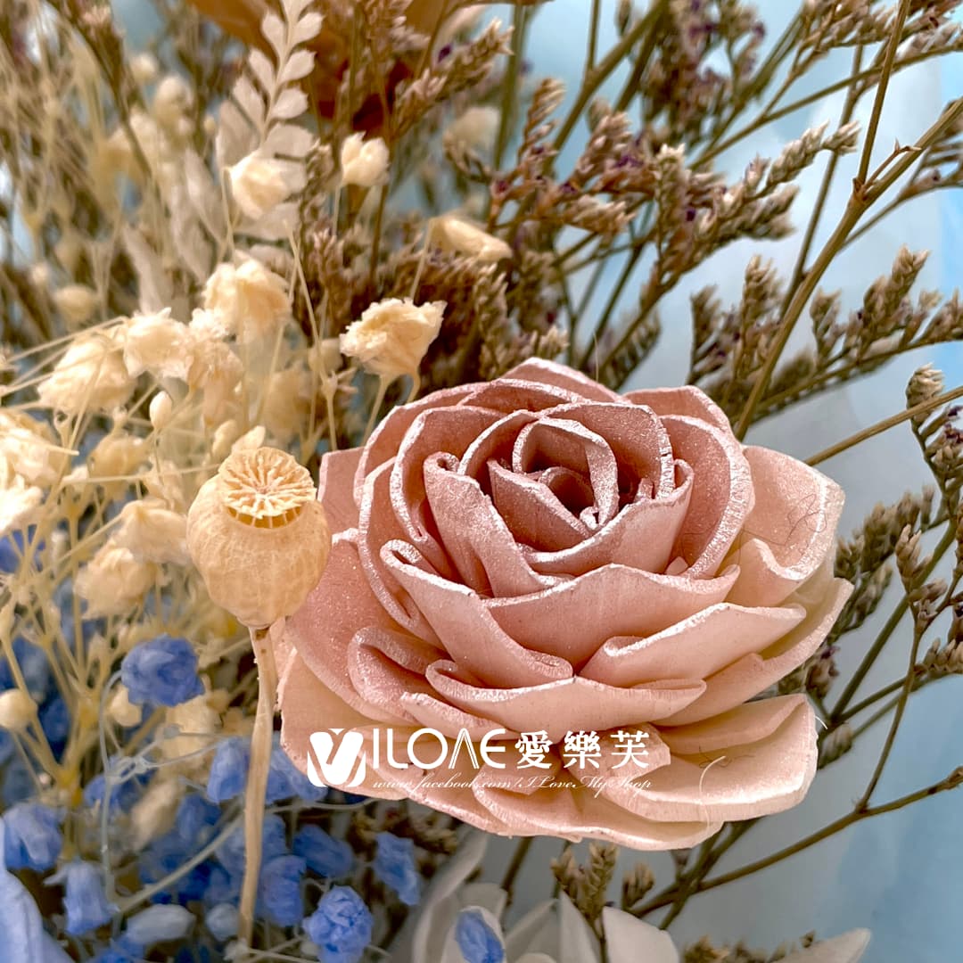 藍海之戀:圖片 3