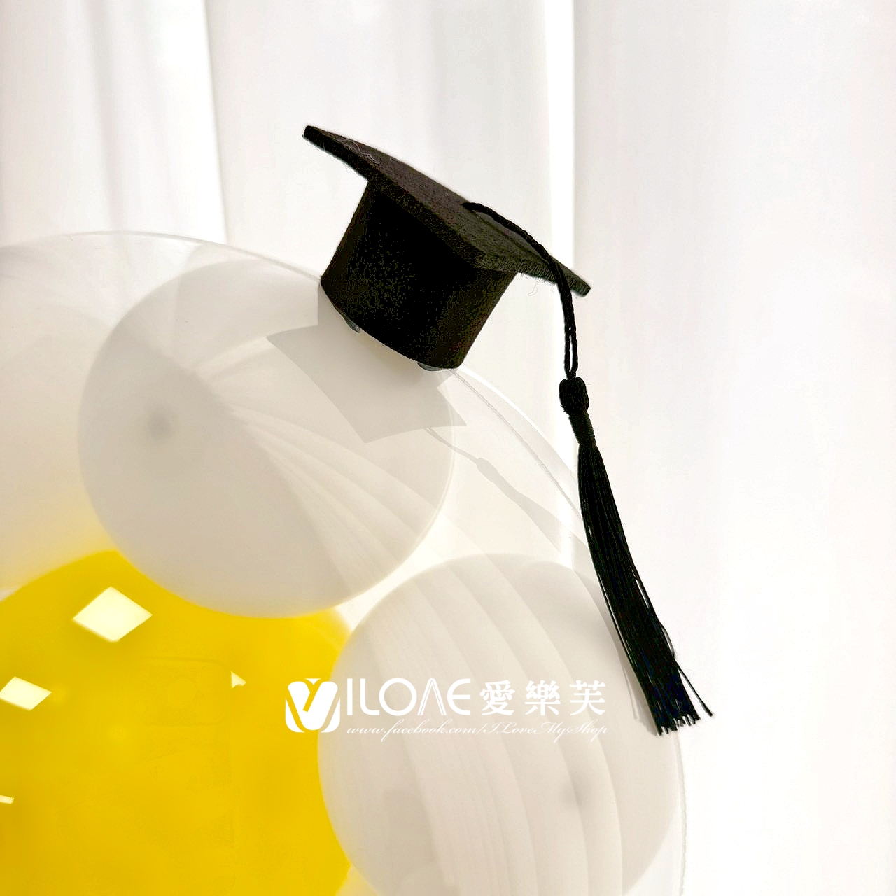 雛菊抱抱筒<br><span style="font-size: 20px;">(日光漫步)</span>:圖片 5