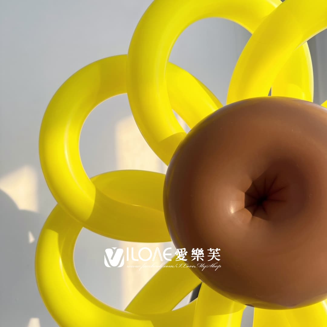 氣球花束<br><span style="font-size: 20px;">(向陽追光)</span>:圖片 8