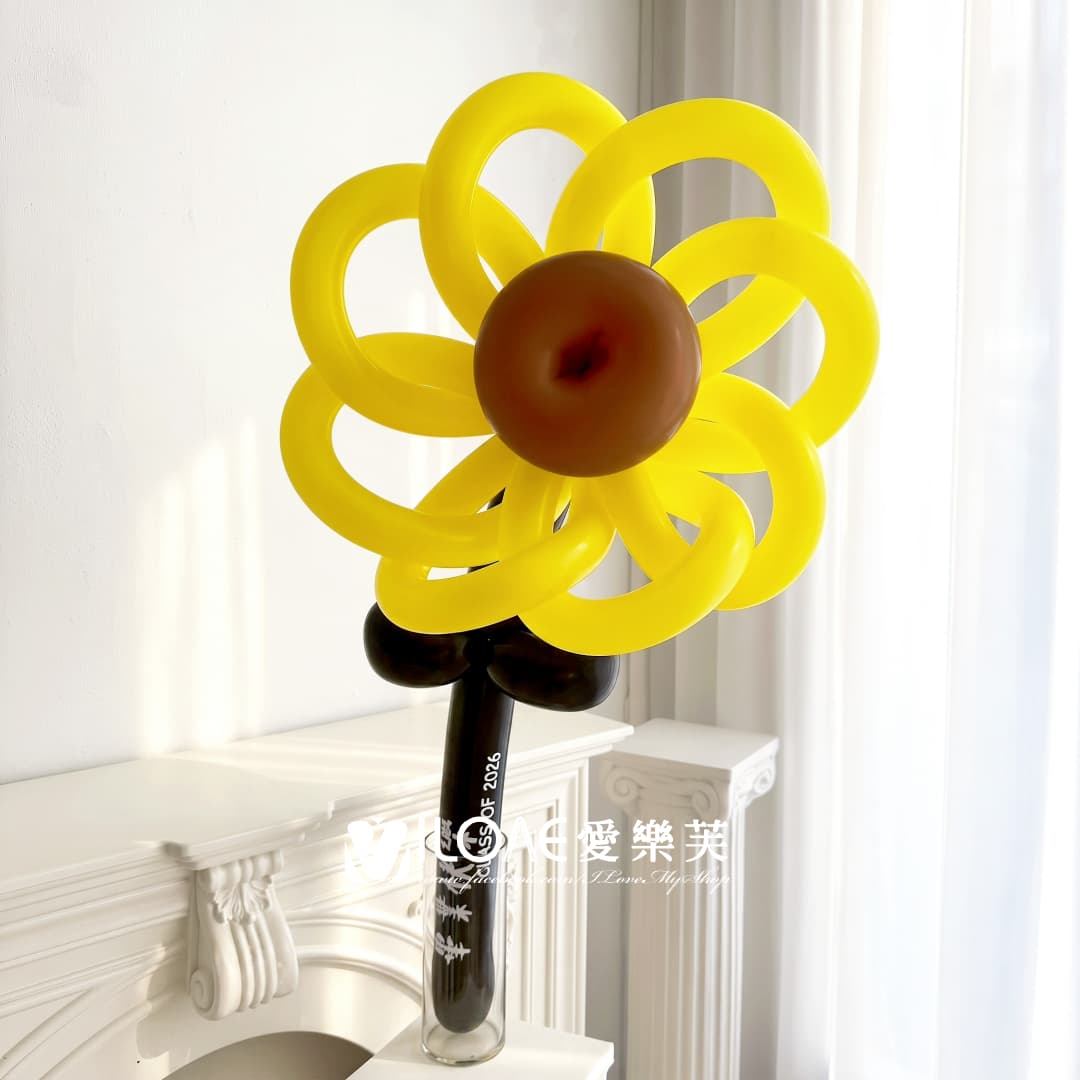 氣球花束<br><span style="font-size: 20px;">(向陽追光)</span>:圖片 7