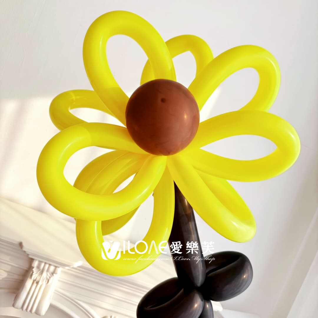 氣球花束<br><span style="font-size: 20px;">(向陽追光)</span>:圖片 3
