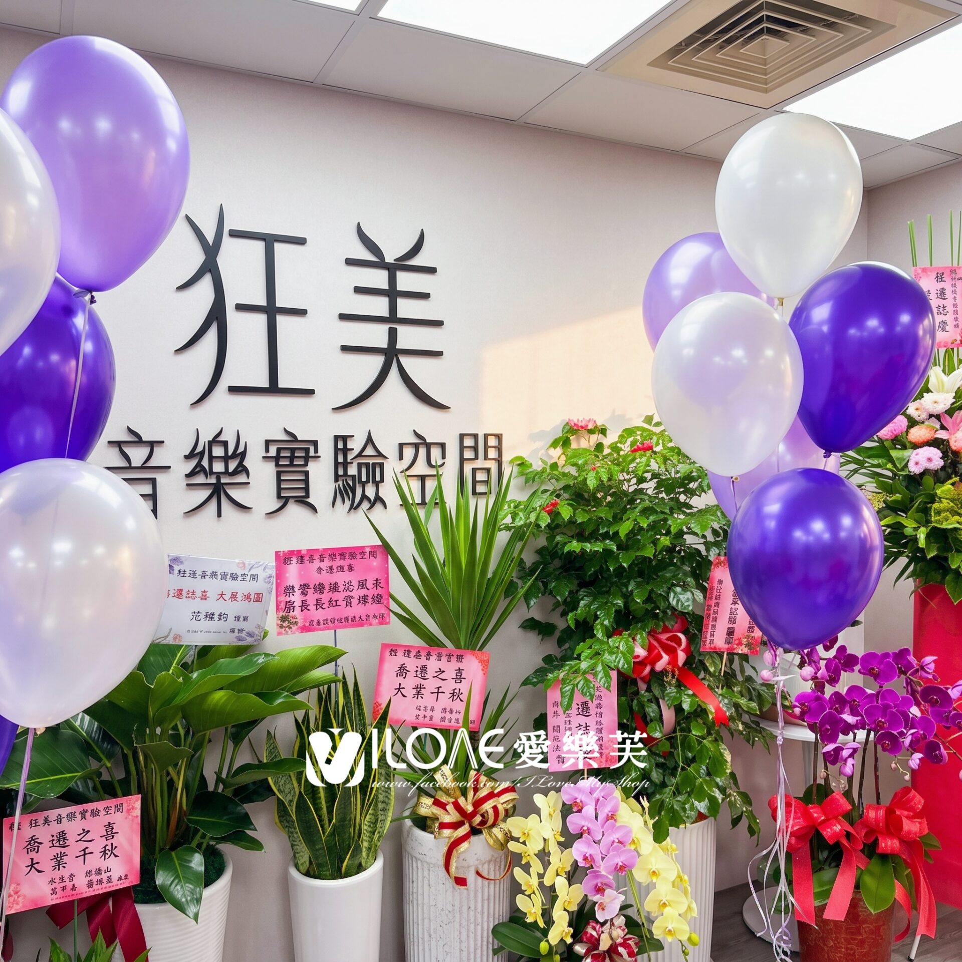 開幕佈置<br><span style="font-size: 20px;">(樂揚紫光)</span>:圖片 3